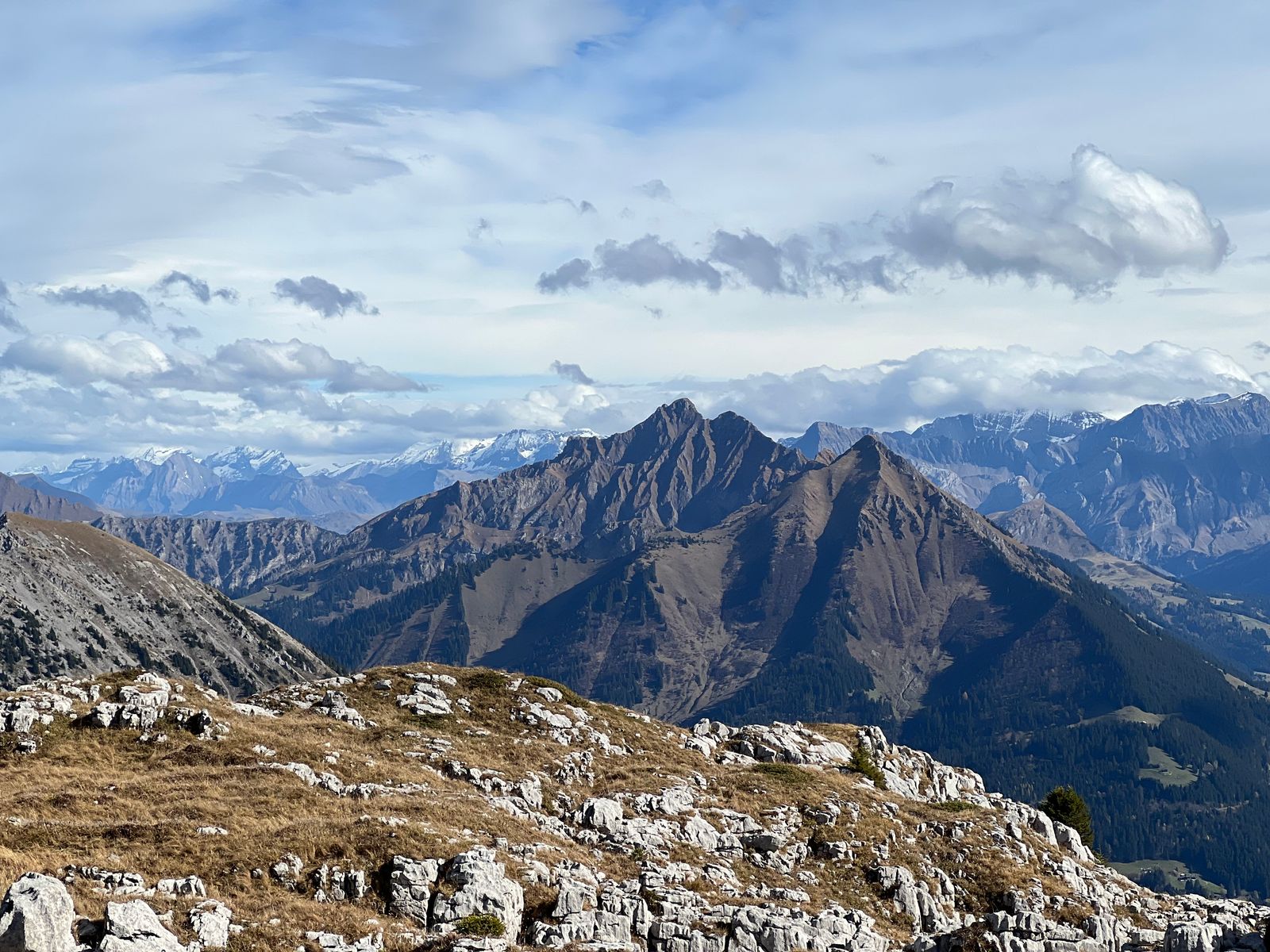 Leysin, depuis la tour de Famelon